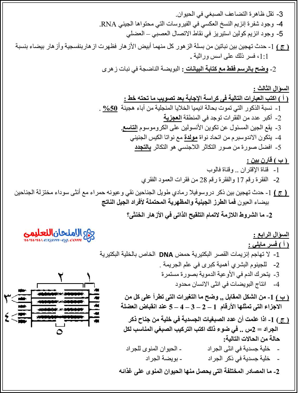 امتحان الوزارة في الاحياء 2