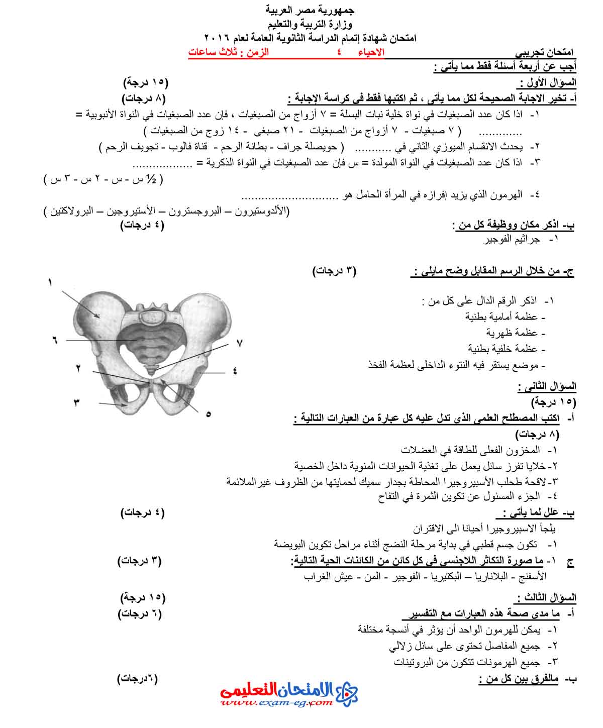 امتحان الاحياء 4 - الامتحان التعليمى-1